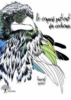Le Regard Patient du Corbeau par Laurent Noerel