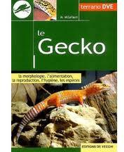 Le gecko par Massimo Millefanti