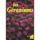 Les graniums par Pierre Nessmann