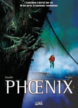 Phoenix, tome 3 : Naufrags par Jean-Charles Gaudin