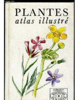 Plantes : Atlas illustr par Vaclav jirasek