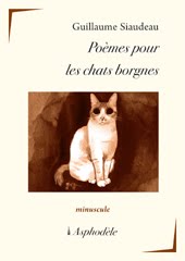 Pomes pour les chats borgnes par Guillaume Siaudeau