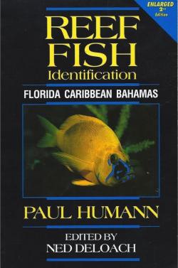 Reef Fish Identification. Florida, Caribbean Bahamas par Paul Humann