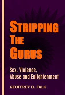 Stripping The Gurus par  Geoffrey J Falk