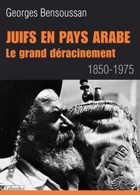 Juifs en pays arabes : Le grand dracinement 1850-1975 par Georges Bensoussan