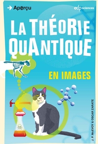 La thorie quantique en images  par J.P. McEvoy