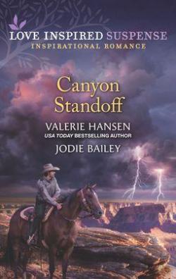 Canyon Under Siege / Missing in the Wilderness par Valerie Hansen