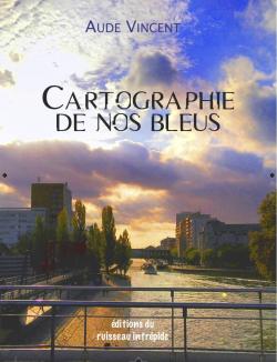 Cartographie de Nos Bleus par Aude Vincent