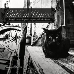 Cats in Venice par Marianna Zampieri