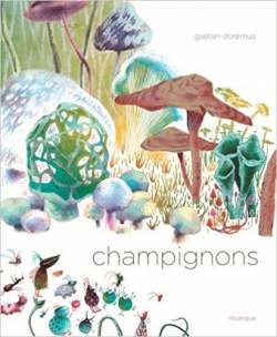 Champignons par Gatan Dormus