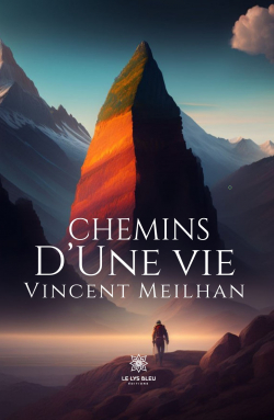 Chemins dune vie par Vincent Meilhan