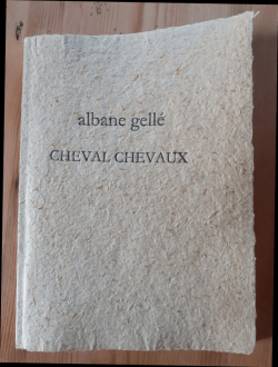 Cheval, chevaux par Albane Gell