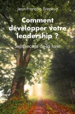 Comment dvelopper votre leadership ? par Jean-Franois Brepson