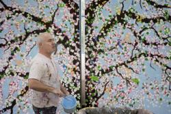 Damien Hirst, Cerisiers en fleurs par Alberto Manguel
