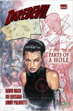 Daredevil / Echo: Parts of a Hole par David Mack