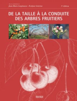 De la taille  la conduite des arbres fruitiers par Jean-Marie Lespinasse