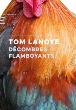 Décombres flamboyants par Tom Lanoye