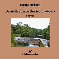 Dentelles du ru des troubadours par Chantal Robillard