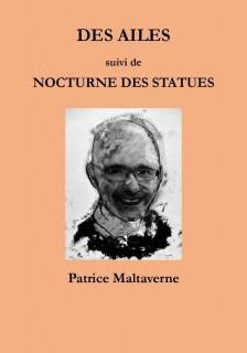 Des Ailes - Nocturne des statues par Patrice Maltaverne