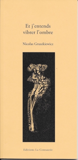 Et j'entends vibrer l'ombre par Nicolas Gruszkiewicz
