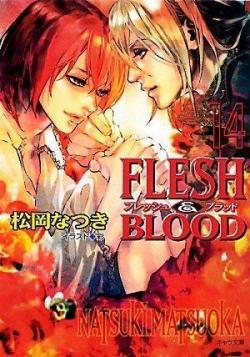 Flesh & blood, tome 14 par Natsuki Matsuoka