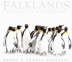 Falklands par Bruno Snchal