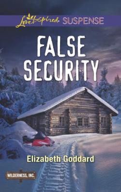 False Security par Elizabeth Goddard