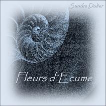 Fleurs d'cume par Sandra Dulier