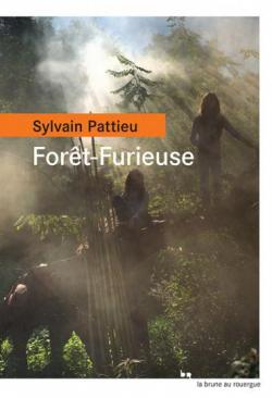 Forêt-Furieuse par Sylvain Pattieu