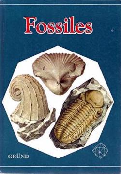 Fossiles par Rudolf Prokop