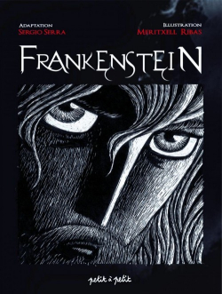 Frankenstein par Sergio Serra