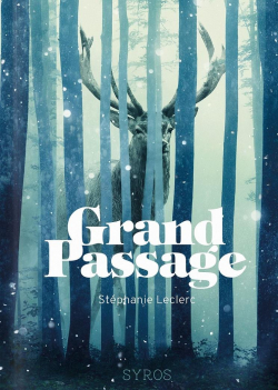 Grand-Passage par Stéphanie Leclerc