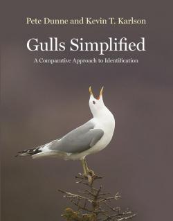 Gulls simplified par Pete Dunne