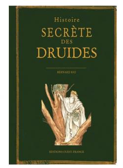Histoire secrte des druides par Bernard Rio