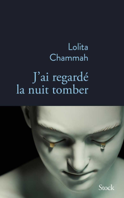 Jai regard la nuit tomber par Lolita Chammah