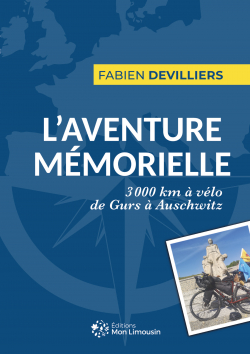 L'Aventure mmorielle par Fabien Devilliers