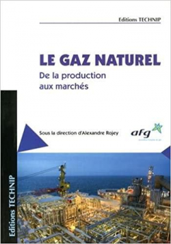 Le gaz naturel : De la production aux marchs par Alexandre Rojey