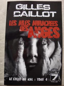 Massimo Zanetti, tome 4 : Les ailes arraches des anges par Gilles Caillot