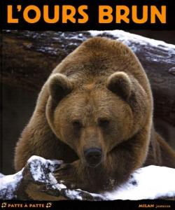 L\'Ours brun : Gant des montagnes par Valrie Tracqui