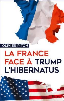 Les transgressifs au pouvoir : Emmanuel Macron et Donald Trump  par Olivier Piton