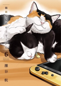 La gameuse et son chat, tome 6 par Wataru Nadatani