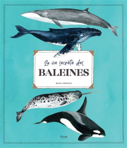 La vie secrte des baleines par Editions Kimane