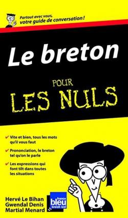Le Breton Guide de conversation Pour les nuls par Gwendal Denis