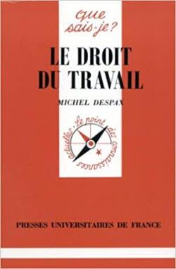 Le Droit du travail par Michel Despax