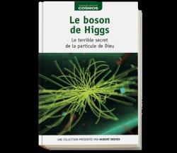 Le boson de Higgs par David Blanco Laserna