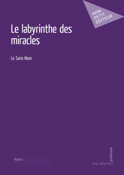 Le labyrinthe des miracles par Le Sans-Nom