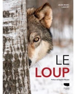Le loup par Jean-Marc Landry