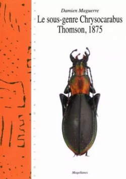 Le sous-genre Chrysocarabus Thomson, 1875 par Damien Maguerre
