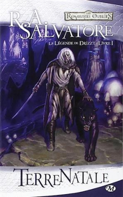 Les Royaumes Oubliés - La Légende de Drizzt, tome 1 : Terre natale par Salvatore
