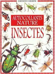 Les insectes par Anthony Wootton